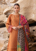 3 Piece Stitched Chikankari Suit - Ready To Wear