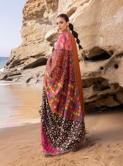 3 Piece Stitched Chikankari Suit - Ready To Wear