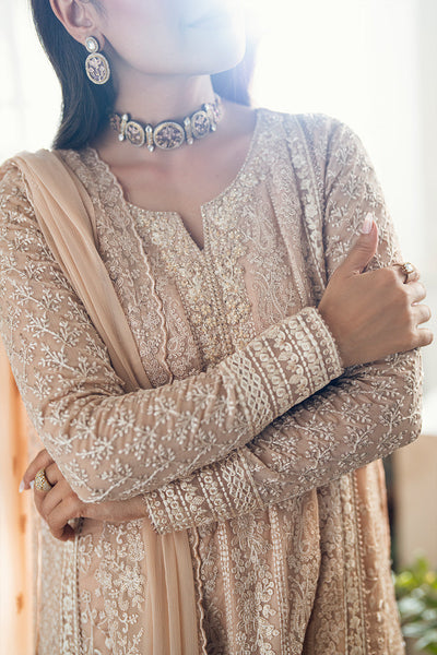 3 Piece Stitched Embroidery Chiffon Suit - Ready To Wear