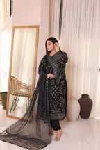 3 Piece Organza Regal Aura-Ready To Wear