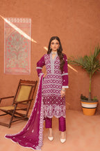 Dazzle Chiffon 3 Piece Suit Ready to Wear