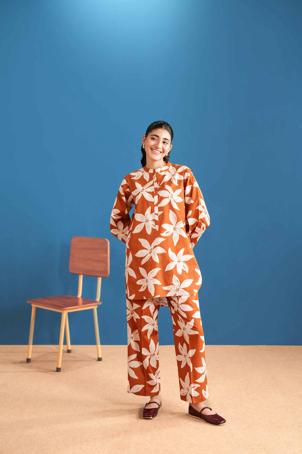 2 Piece Stitched Cotton Suit - Ready To Wear