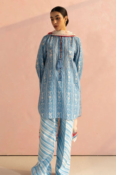 3 Piece Stitched Designer Suit - Ready To Wear